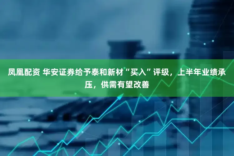 凤凰配资 华安证券给予泰和新材“买入”评级，上半年业绩承压，供需有望改善